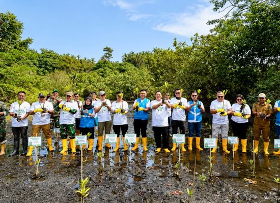 Hari Mangrove Sedunia Jadi Momentum PLN Perluas Dampak Konservasi Keanekaragaman Hayati di Halmahera Utara