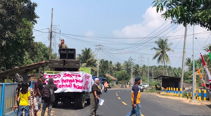 Front Petani Halmahera Utara Blokade Aktivitas PT Nico, Imbas Harga Kelapa Anjlok