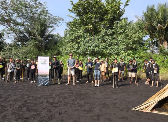 PLN UIP MPA dan UNIERA Perkuat Rehabilitasi Mangrove Pantai Wauwo untuk Lindungi Habitat Mamoa