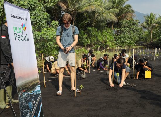 Dari Persemaian ke Pesisir: 1.000 Bibit Mangrove Disiapkan untuk Menjaga Pantai Wauwo dan Habitat Mamoa