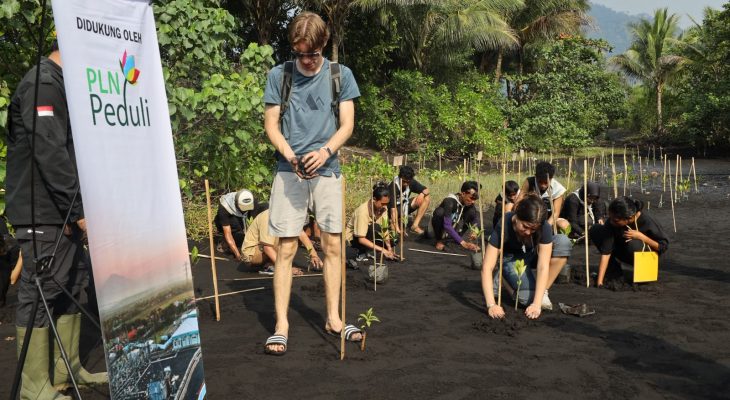 Dari Persemaian ke Pesisir: 1.000 Bibit Mangrove Disiapkan untuk Menjaga Pantai Wauwo dan Habitat Mamoa
