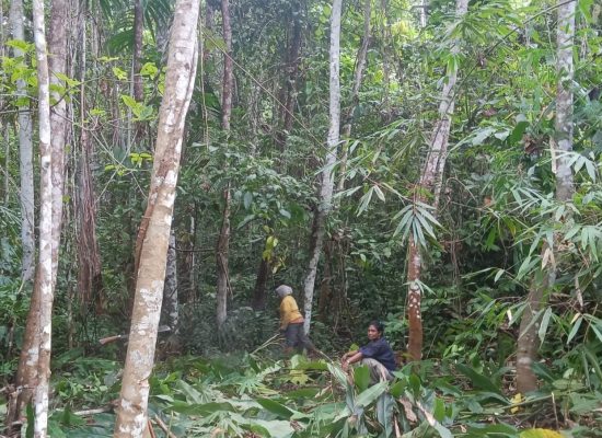 Kuat Karena Terpaksa? Membaca Beban Ganda Perempuan Desa