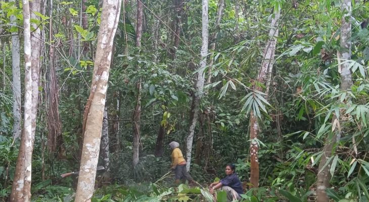 Kuat Karena Terpaksa? Membaca Beban Ganda Perempuan Desa