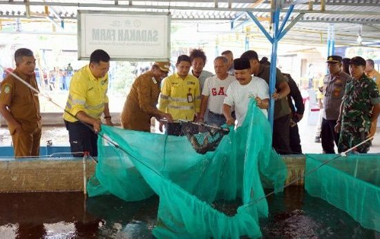 Sinergi Pemda dan NHM Peduli Dorong Kemandirian Pangan Lewat Budidaya Bioflok BUMDes Sadaka Farm