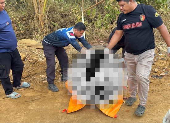 Kecelakaan Maut di Jalur Hauling PT ANI, Pengawasan Kendaraan Tambang Dipertanyakan