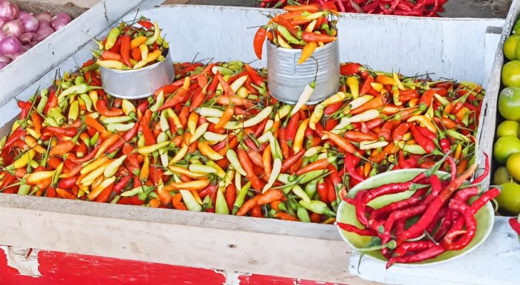 Harga Rica Nona di Pasar Ternate Mulai Stabil