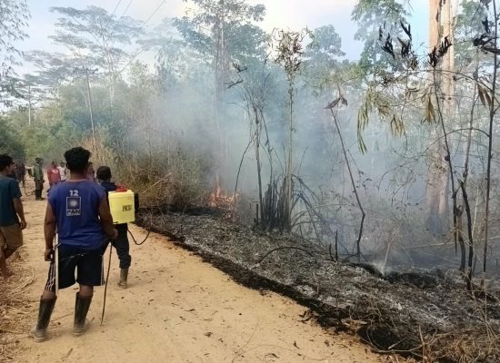 Warga dan PT BMI Bahu-Membahu Padamkan Karhutla, Bupati Taliabu Beri Apresiasi