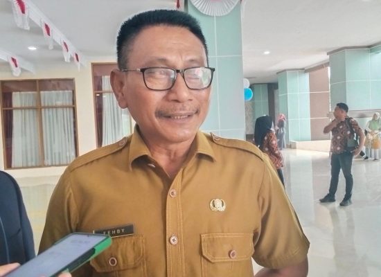 Karhutla Taliabu Belum Padam, Pemprov Malut Siapkan Helikopter Water Bombing