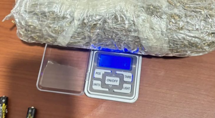 Polda Malut Amankan 194,6 Gram Ganja Kiriman dari Medan