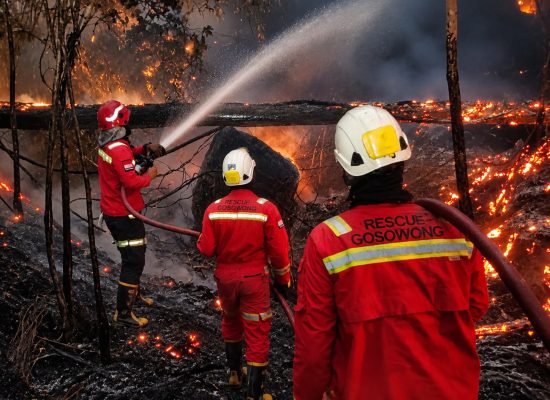 NHM Aktif Tangani Karhutla: Padamkan 15 Titik Api dan Bantu 9 Desa Lingkar Tambang