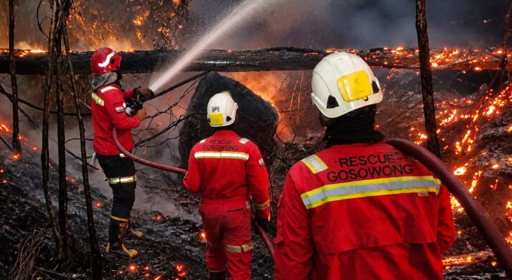 NHM Aktif Tangani Karhutla: Padamkan 15 Titik Api dan Bantu 9 Desa Lingkar Tambang