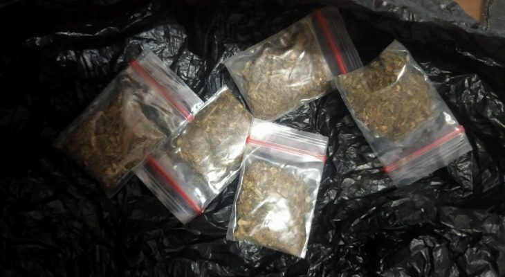 Polda Malut Bekuk Pria di Halteng, 16,35 Gram Ganja Disita